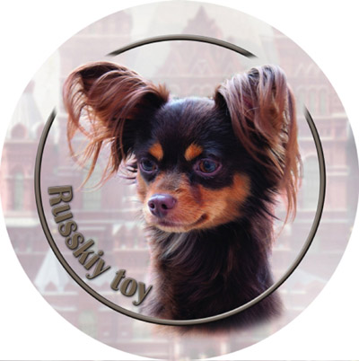 Dekal med Russkiy Toy