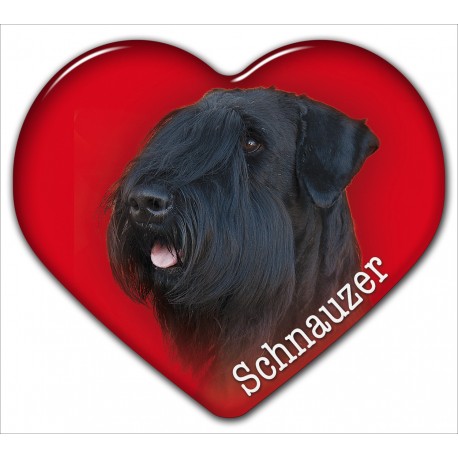 Dekal med Schnauzer