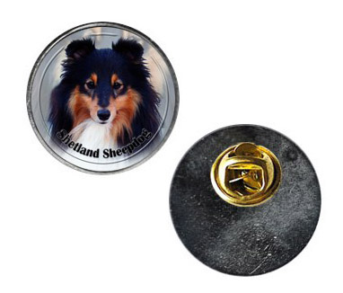 Pin med Shetland Sheepdog
