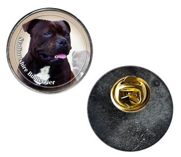 Pin med Staffordshire Bullterrier