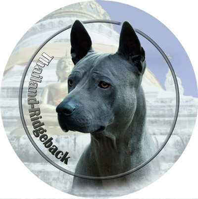 Dekal med Thai Ridgeback Dog
