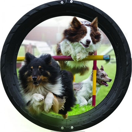 Dekaler med Agilitymotiv