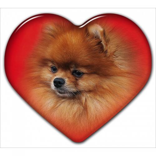 Dekal med Pomeranian