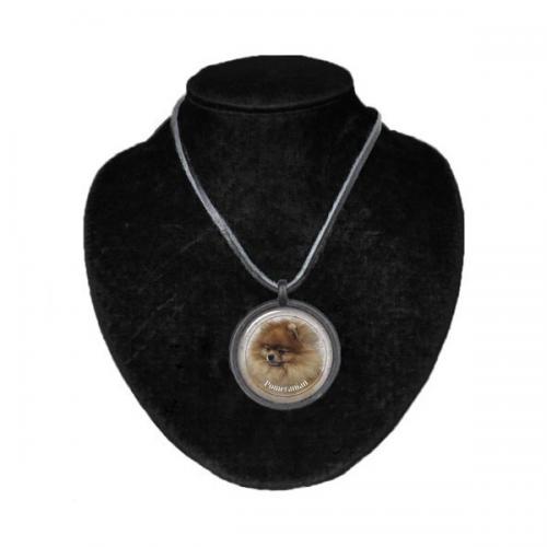 Halsband med Pomeranian