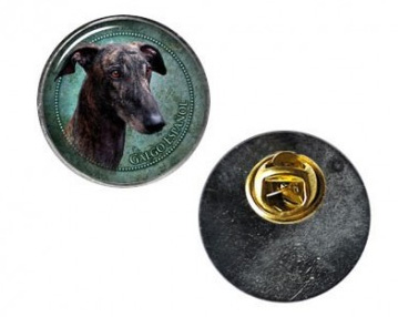 Pin med Galgo Espanol