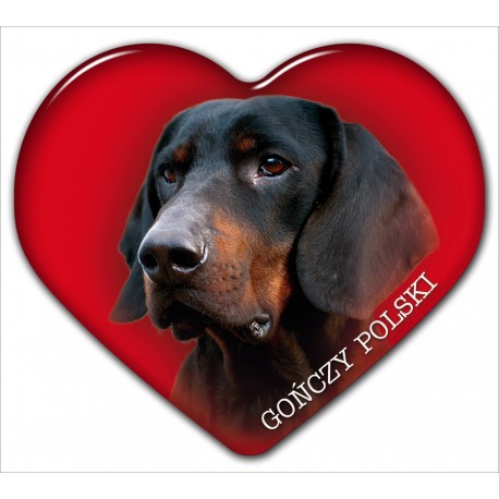 Dekal med Gonczy Polski