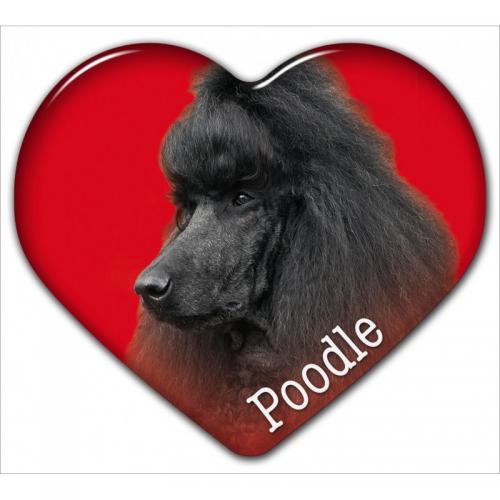 Dekal med Pudel