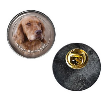 Pin med Wachtelhund
