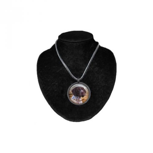 Halsband med Braque Francais