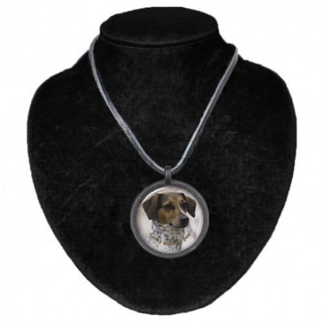 Halsband med Cesky Strakaty Pes
