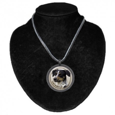 Halsband med Cesky Strakaty Pes