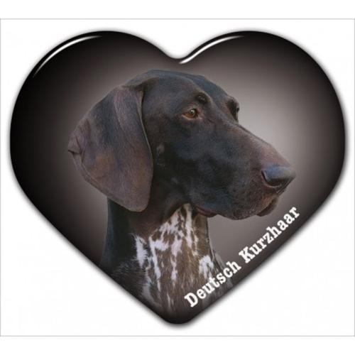 Dekal med Korthårig Vorsteh