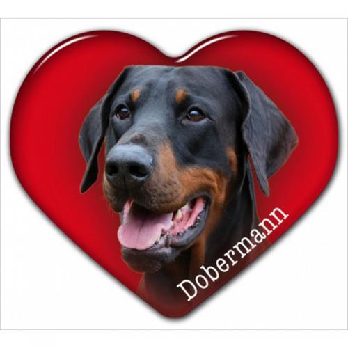 Dekal med Dobermann