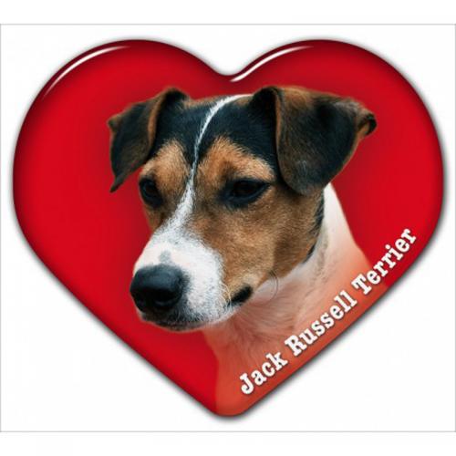 Dekal med Jack Russel Terrier