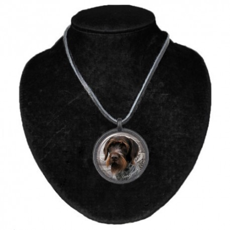 Halsband med Cesky Fousek