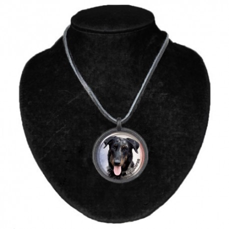 Halsband med Beauceron