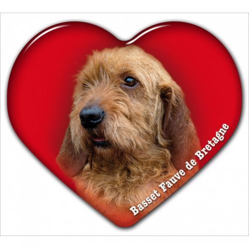 Dekal med Basset Fauve de Bretagne