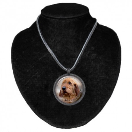 Halsband med Basset Fauve de Bretagne