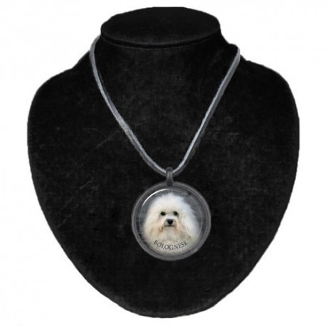 Halsband med Bolognese