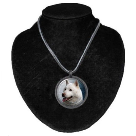 Halsband med Siberian Husky