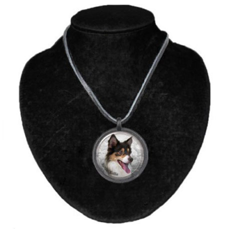 Halsband med Border Collie