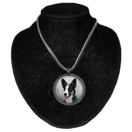 Halsband med Border Collie