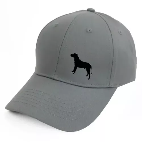 Keps  med en Dogo Argentino