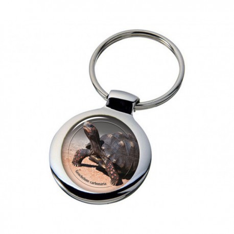 Nyckelring med Sköldpadda