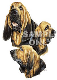 Collegetröja med Blodhund