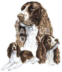 Mini-T-shirt med Engelsk Springer Spaniel