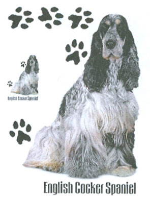 Collegetröja med Cocker Spaniel