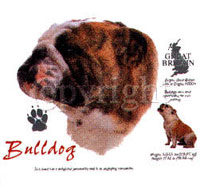 T-shirt med Engelsk Bulldogg