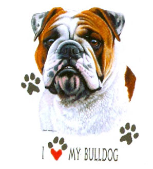 T-shirt med Engelsk Bulldogg