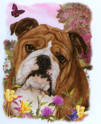 Tygkasse med Engelsk Bulldogg