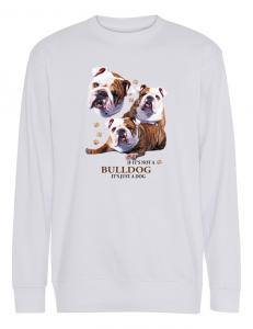 Collegetröja med Engelsk Bulldogg