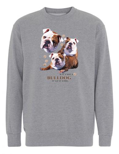 Collegetröja med Engelsk Bulldogg