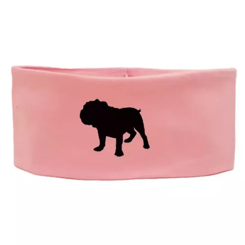 Pannband med Engelsk Bulldogg