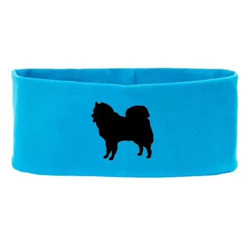 Pannband med Eurasier