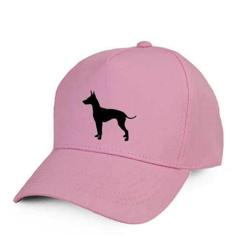 Keps med English Toy Terrier