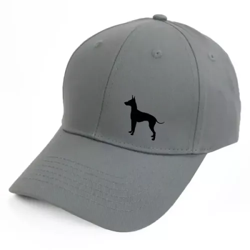 Keps med en English Toy terrier