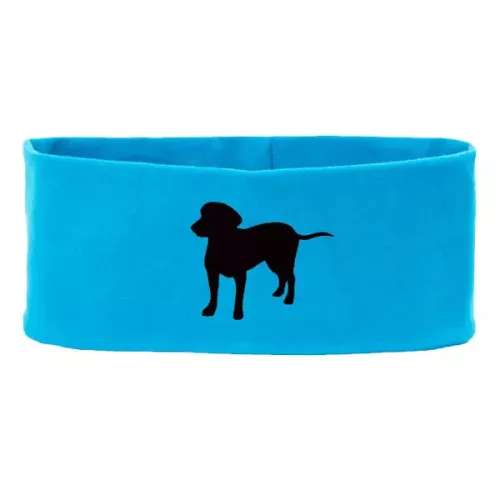 Pannband med Entlebucher Sennenhund