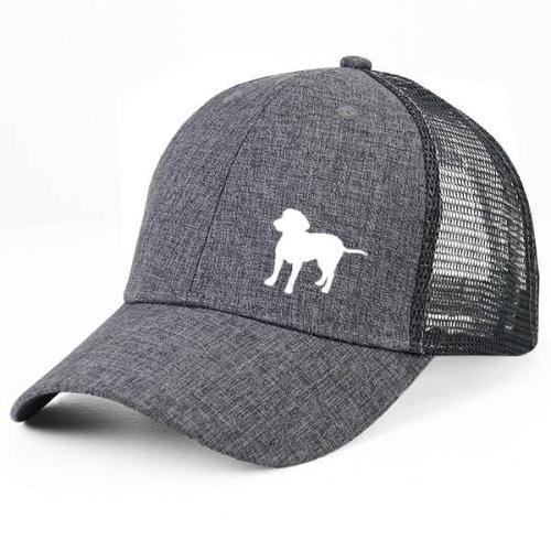 Gråmelerad Keps med Entlebucher Sennenhund