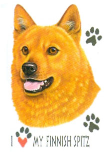 T-shirt med Finsk Spets