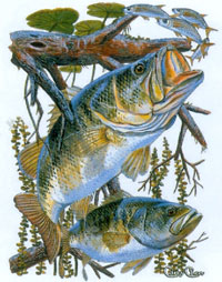 Huvjacka med fiskemotiv