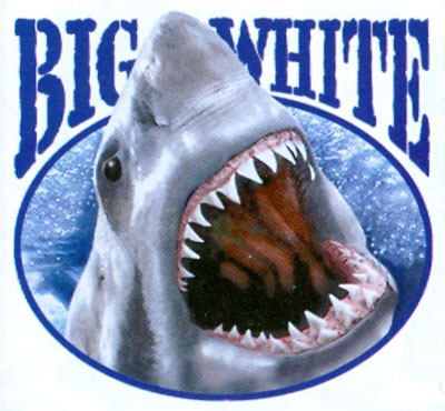 Huvjacka med hajmotiv