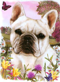 Tygkasse med Fransk Bulldogg