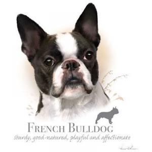 Huvjacka med Fransk Bulldogg