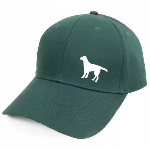 Keps med en Flatcoated Retriever