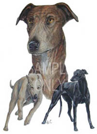 Tygkasse med Greyhound