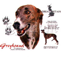 T-shirt med Greyhound